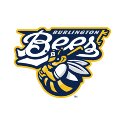 Burlington Bees