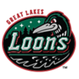 Great Lakes Loons