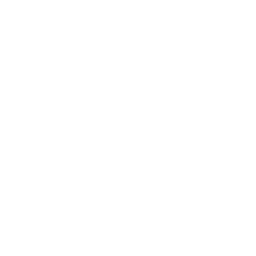 LEARFIELD Amplify